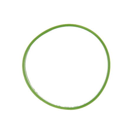 VDO A2C59516954 Gasket for BMW, Citroën, Mini, Peugeot