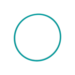 VDO A2C59516956 Gasket for BMW