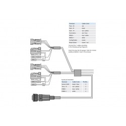 Tachos Summenprotokoll: A2C59514823 VDO